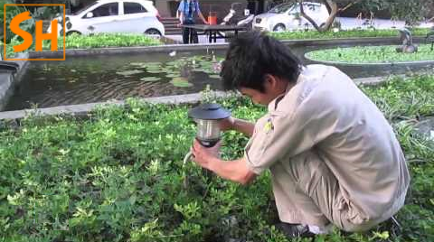 Cách bảo dưỡng đèn trang trí