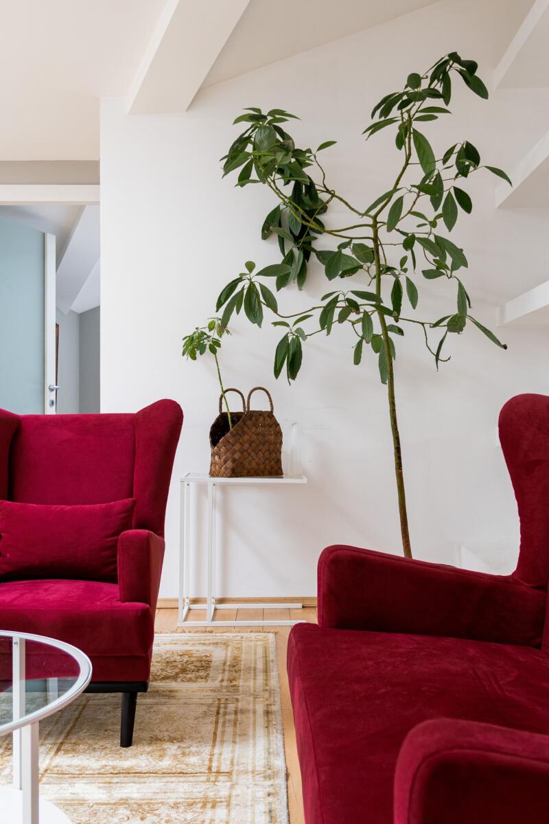 màu burgundy nội thất – phối màu sang trọng burgundy nội thất 2026