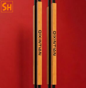 Tay nắm cửa chính thép không gỉ tối giản hiện đại GD1009 7